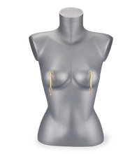 Charger l&#39;image dans la galerie, Pinces à seins BDSM Sweet Pain