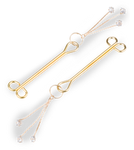 Charger l&#39;image dans la galerie, Pinces à tétons BDSM Sprinkles