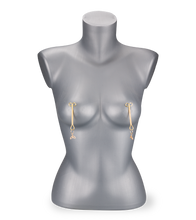 Charger l&#39;image dans la galerie, Pinces à tétons Naughty Mermaid