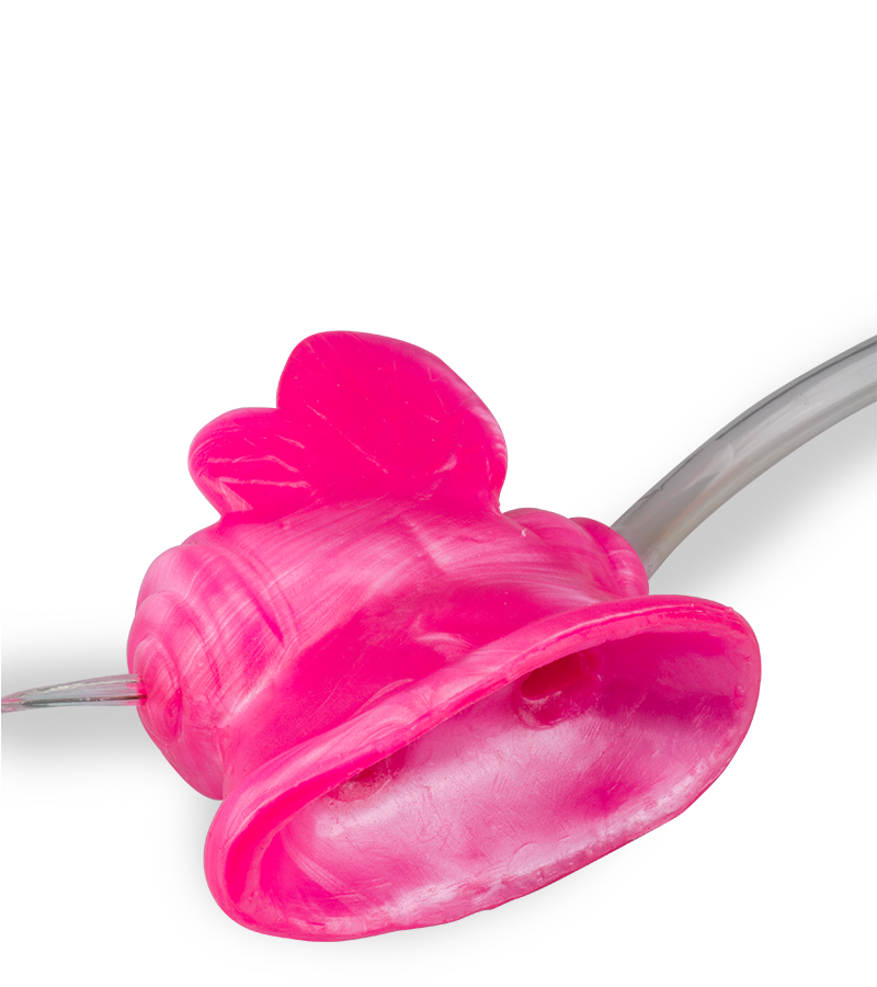 Pompe à clitoris vibrante papillon