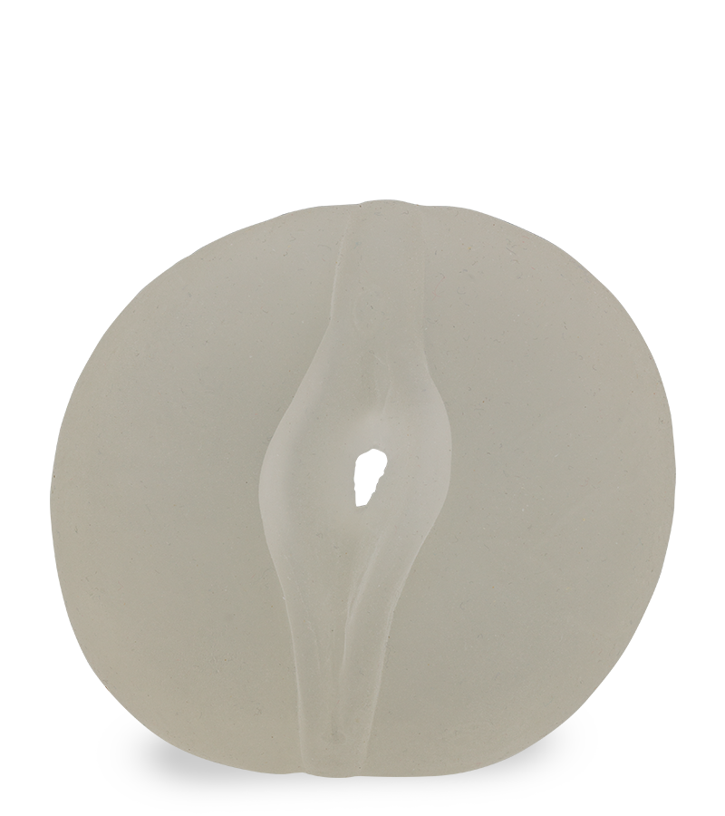 Pompe pénis Maximizer rechargeable