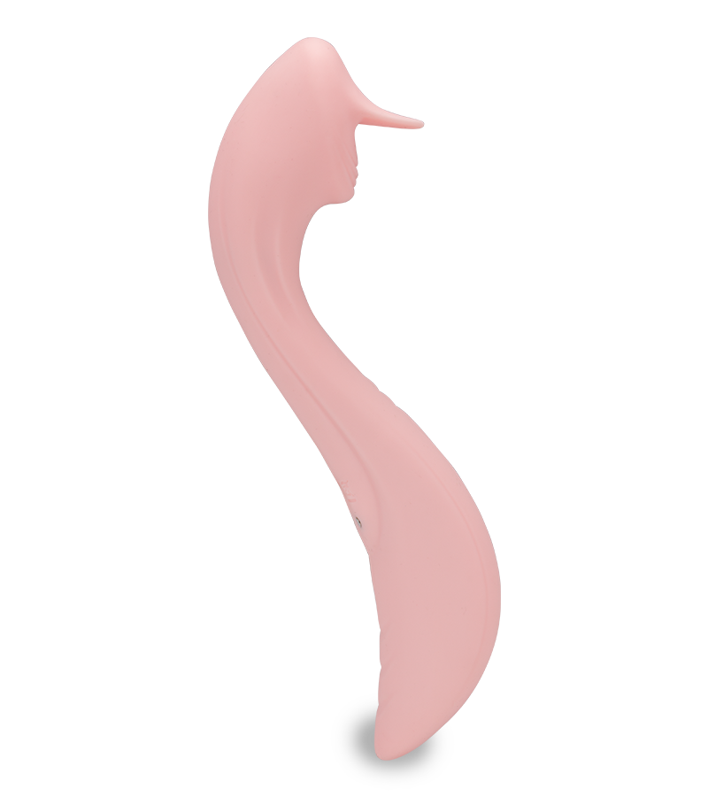 Stimulateur clitoridien Goosy