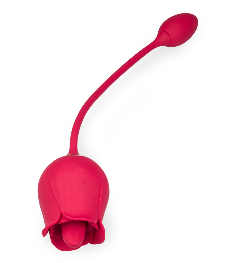 Stimulateur de clitoris langue et œuf vibrant Blooming