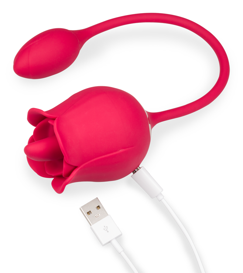 Stimulateur de clitoris langue et œuf vibrant Blooming