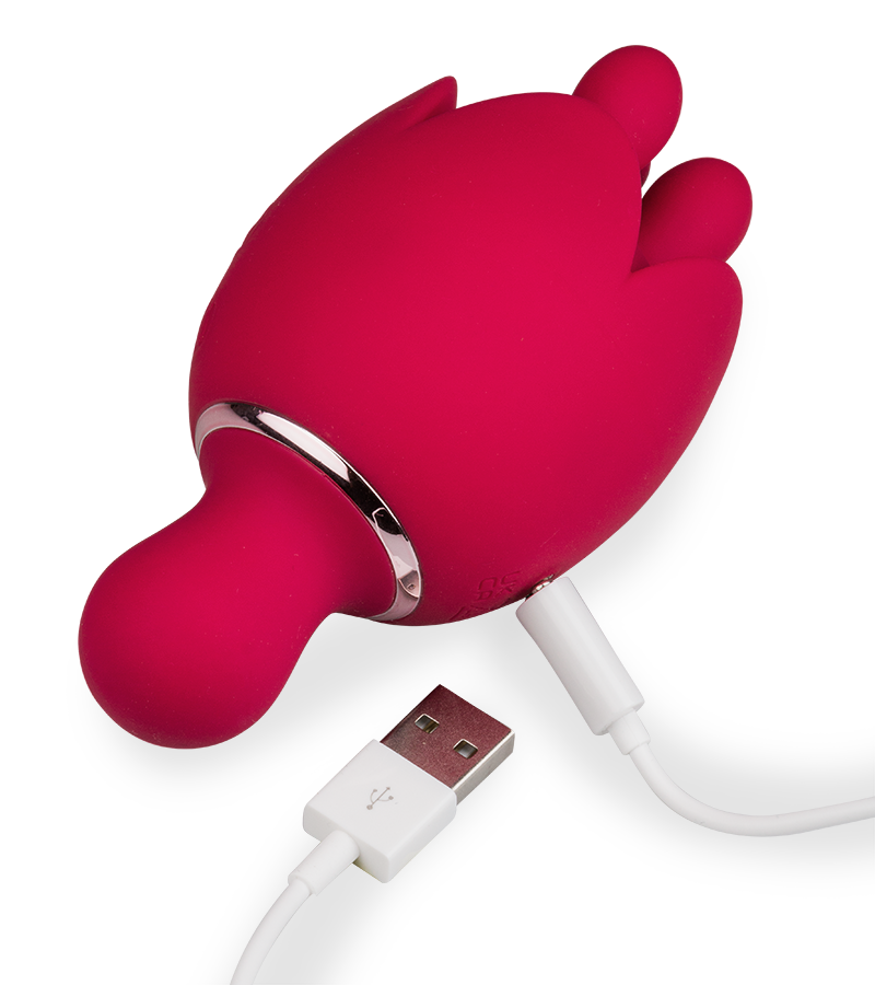 Stimulateur et masseur de clitoris Bis