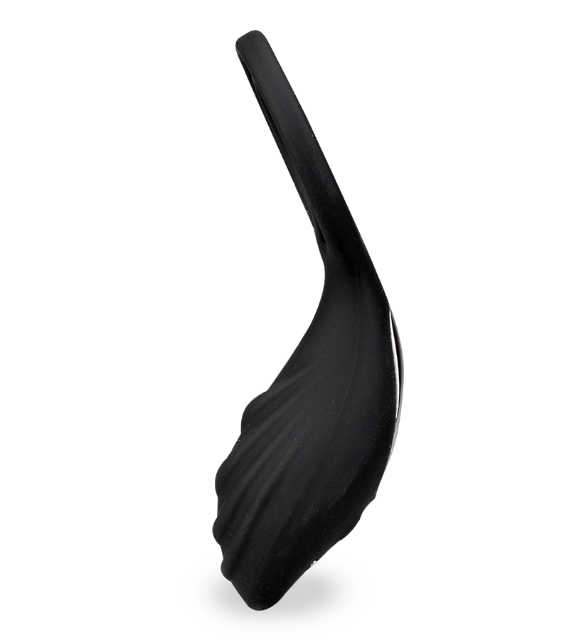 Vibro pour couple avec anneaux cockring et testicules USB